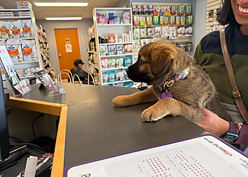 Halifax Cliniques Vétérinaires Dartmouth Veterinary Hospital