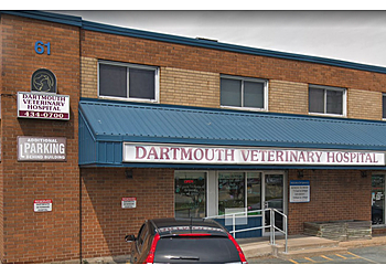Halifax veterinary clinic Dartmouth Veterinary Hospital
