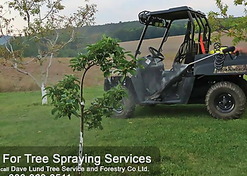 Dave Lund Tree Service and Forestry Co Ltd. Dave Lund Tree Service and Forestry Co Ltd. - Newmarket, ON Tree Services - Field Work Image