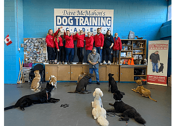 Dave McMahon’s Dog Training Academy