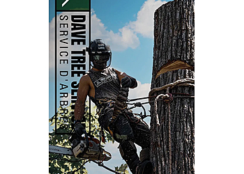 Mirabel tree service Dave Tree Service Mirabel