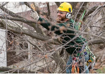 Nanaimo tree service Davey Tree Expert Co. of Canada