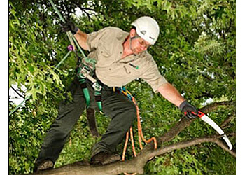 Kitchener Services d'arboriculteur Davey Tree Expert Co. of Canada, Limited Kitchener
