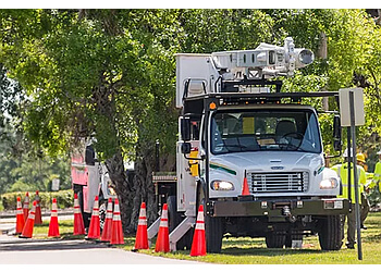 Port Coquitlam tree service Davey Tree Expert Co. of Canada, Limited