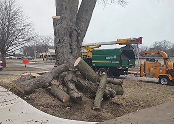 Windsor Services d'arboriculteur Davey Tree Expert Co. of Canada, Limited Windsor