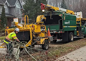 Davey Tree Expert Co. of Canada, Limited Kitchener - Kitchener, ON Tree Services - Field Work Image