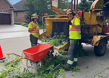 Davey Tree Expert Co. of Canada, Limited Kitchener - Kitchener, ON Tree Services - Service Image