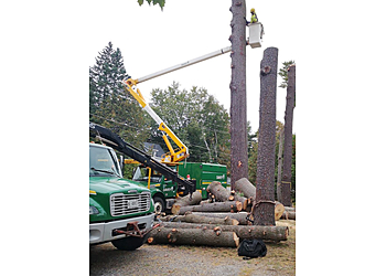 Huntsville Services d'arboriculteur Davey Tree Expert Co. of Canada, Limited Muskoka North