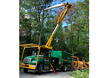 Huntsville Services d'arboriculteur Davey Tree Expert Co. of Canada Ltd.