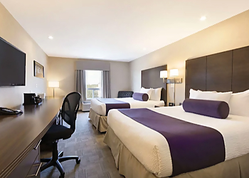 Days Inn by Wyndham Medicine Hat - Medicine Hat, AB Hôtels - Hotel Room Image