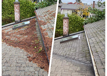 Delta gutter cleaner De Moss Boss Maintenance Inc.