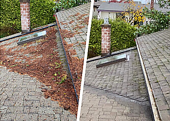 De Moss Boss Maintenance Inc. - Delta, BC Gutter Cleaners - Field Work Image
