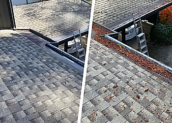 De Moss Boss Maintenance Inc. De Moss Boss Maintenance Inc. - Delta, BC Gutter Cleaners - Service Image