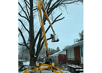 Norfolk tree service De Ruyte Tree Services