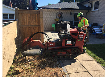 Hamilton tree service DeVos Tree Care