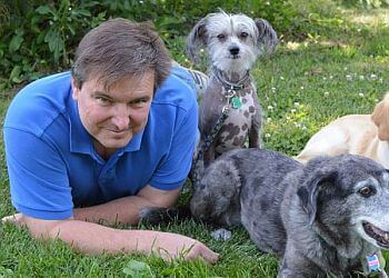 Oakville dog trainer Dealing With Dogs