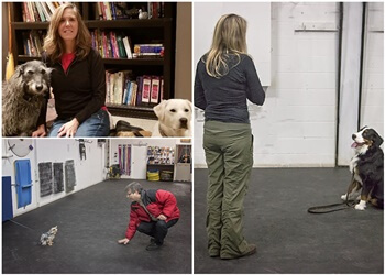 Oakville dog trainer Dealing With Dogs