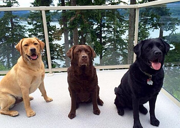 Delta dog walker Delta Kennels