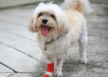 Delta dog walker Delta Pet Care