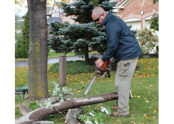 tree pruning services mississauga