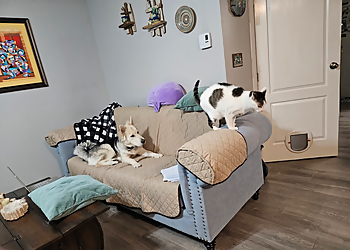 Dewdney animal Hospital - Maple Ridge, BC Veterinary Clinics - Healthcare Facility Image