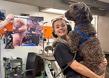 Dharma Dog Services - Vancouver, BC Pet Grooming - Service Image