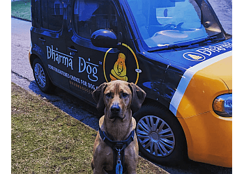 Vancouver Salons de Toilettage Pour Animaux De Compagnie Dharma Dog Services