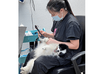Vancouver Salons de Toilettage Pour Animaux De Compagnie Dharma Dog Services