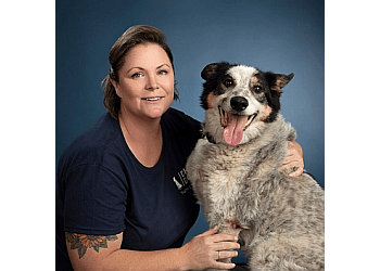 Brantford Dresseurs De Chiens Dharma Dogs