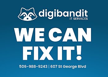 Moncton Services Informatiques DigiBandit IT Services