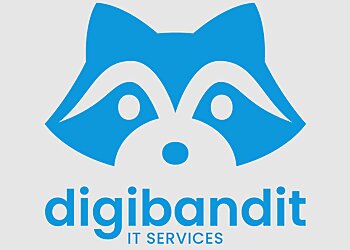 Moncton Services Informatiques DigiBandit IT Services