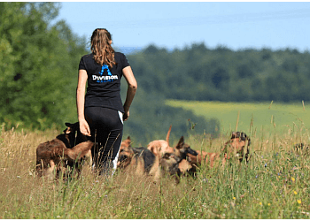 Sherbrooke dog trainer Division Canine