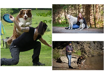 Sherbrooke dog trainer Division Canine
