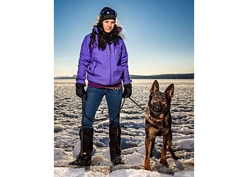 Sherbrooke dog trainer Division Canine