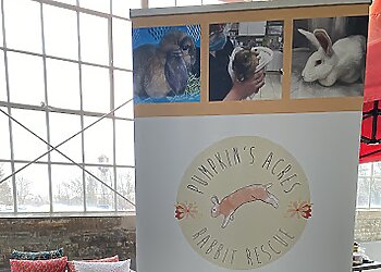 St Catharines printer Dixon Ink Inc.