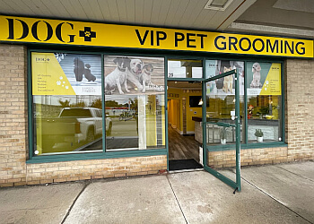 Richmond Hill pet grooming Dog+  image 1