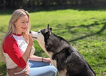 Dog Centered Training - Chilliwack, BC Dog Trainers - Dog Trainer Image