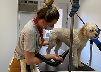 Huntsville pet grooming Dog Daze