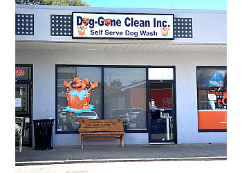 Dog-Gone Clean Inc.
