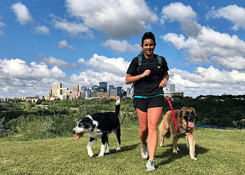 Edmonton dog walker Dog Jogs