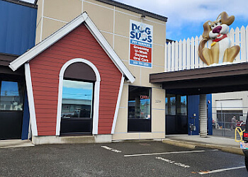 Nanaimo pet grooming Dog N' Suds Pet Services Ltd image 1