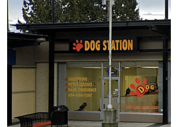  Dog Station Grooming Training & More