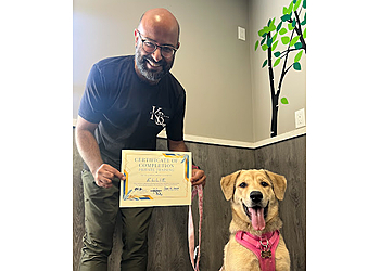 Windsor dog trainer Dog Training with KB