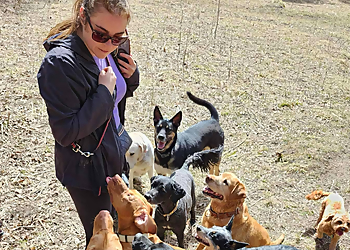 Whitby dog walker Dog Walk Happy Inc.