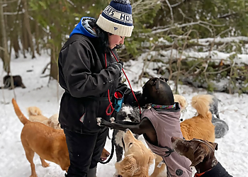 Whitby dog walker Dog Walk Happy Inc.