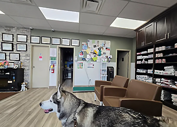 St Catharines Cliniques Vétérinaires Dog and Cat Clinic of Niagara