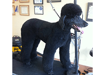 Chilliwack pet grooming The Dogfather