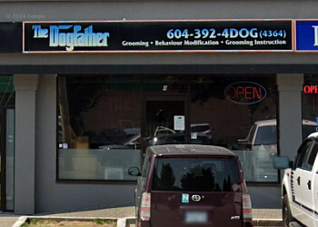 Chilliwack pet grooming Dogfather image 1