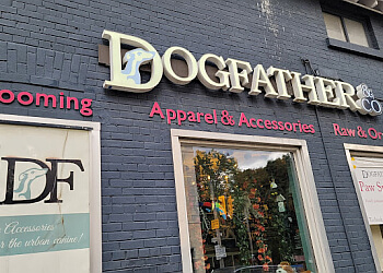 Toronto pet grooming Dogfather and Co. image 1