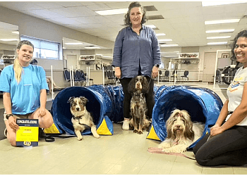 Doggie Central